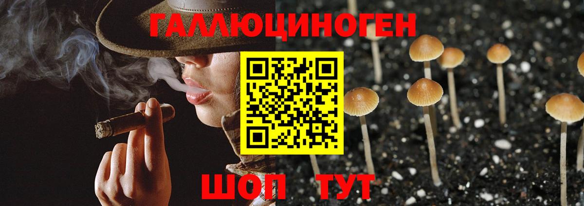 Псилоцибиновые грибы мицелий  Вход с VPN  Алексеевка  Галлюциногенные грибы Psilocybe 