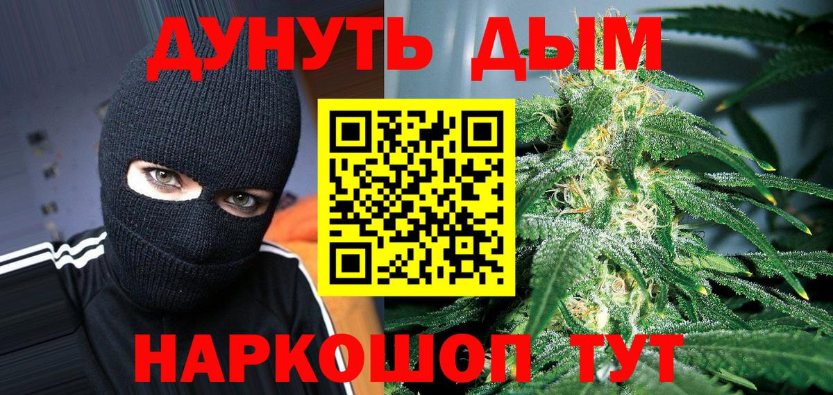Марихуана сатива  Бошки марихуана планчик  Вход с VPN  Бошки марихуана планчик  Алексеевка 